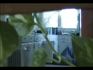 Una polla videos hentay subtitulados dura y dos guarras cerca de la piscina